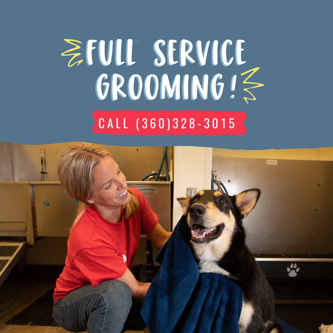 full service grooming